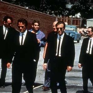 Foto Cães de Aluguel