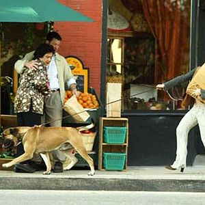 Foto Brittany Murphy