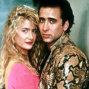 Foto Coração Selvagem