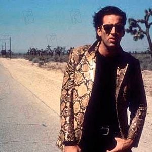 Foto Coração Selvagem