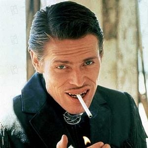 Foto Coração Selvagem