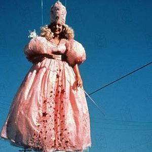 Foto Coração Selvagem