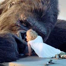 Foto King Kong
