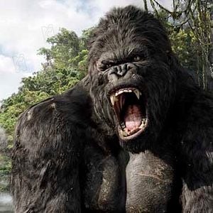 Foto King Kong