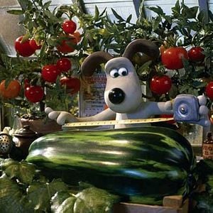 Foto Nick Park
