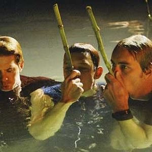 Foto Totalmente Sem Rumo