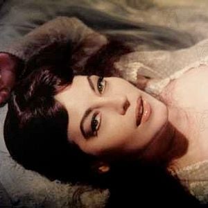 Foto Knights Of The Round Table