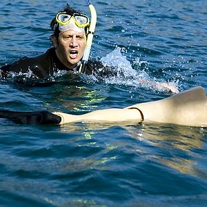 Foto Um Gigolô Europeu por Acidente