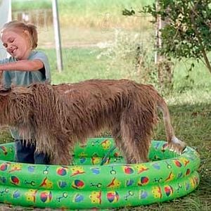 Foto Meu Melhor Amigo