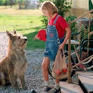 Foto Meu Melhor Amigo