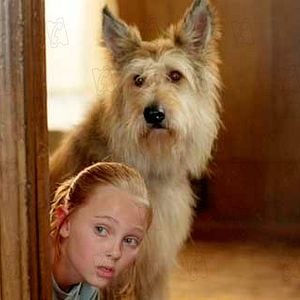 Foto Meu Melhor Amigo