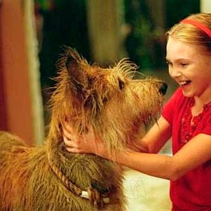 Foto Meu Melhor Amigo