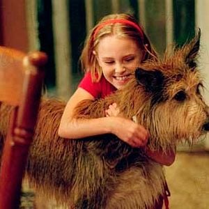 Foto Meu Melhor Amigo