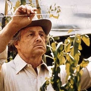 Foto O Poderoso Chefão