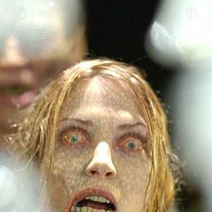 Foto Terra Dos Mortos