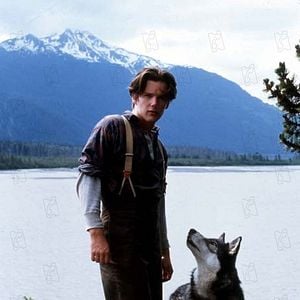 Foto Caninos Brancos