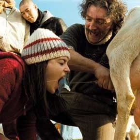 Foto Roxane Mesquida