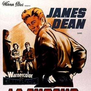 Foto Juventude Transviada