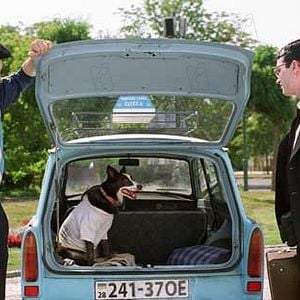 Foto Uma Vida Iluminada