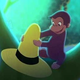 Foto George, o Curioso