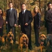 Foto Without a Trace