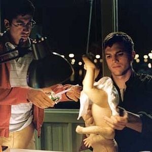 Foto De Repente é Amor