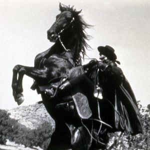 Foto Zorro