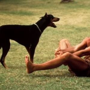 Foto Magnum, P.I. (1980)