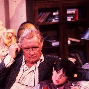 Foto Punky, a Levada da Breca