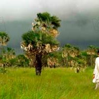 Foto Desejo de Ser Mãe