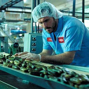 Foto Factotum - Sem Destino