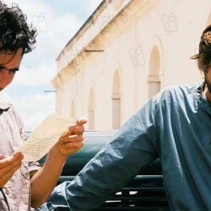 Foto Cinema, Aspirinas e Urubus