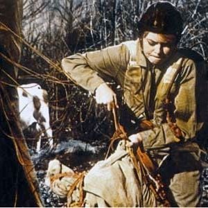 Foto Brigitte Bardot