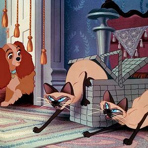 Foto A Dama e o Vagabundo