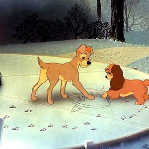 Foto A Dama e o Vagabundo