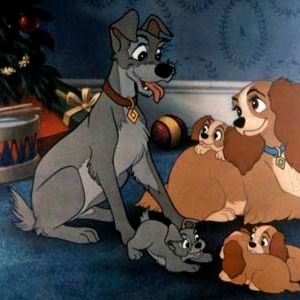 Foto A Dama e o Vagabundo