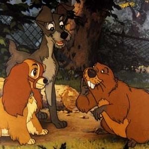 Foto A Dama e o Vagabundo