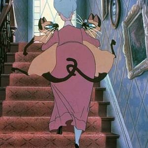 Foto A Dama e o Vagabundo