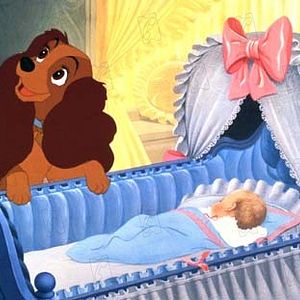 Foto A Dama e o Vagabundo