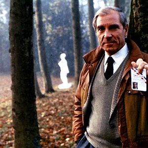 Foto Poulet au vinaigre