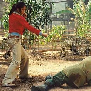 Foto Panna Rittikrai