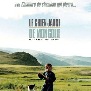 Foto The Cave of the Yellow Dog