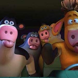 Foto O Segredo dos Animais