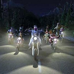 Foto O Segredo dos Animais