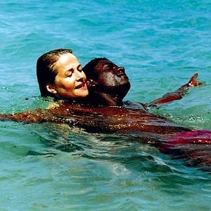 Foto Em Direção ao Sul