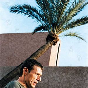 Foto Aniversário - O Acerto de Contas