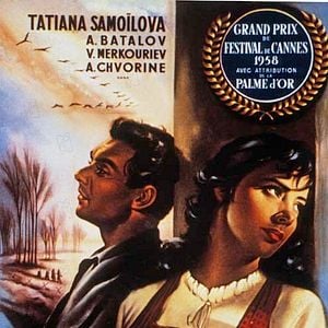 Foto Quando Voam as Cegonhas