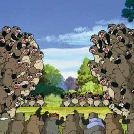 Foto PomPoko: A Grande Batalha dos Guaxinins