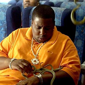 Foto Serpentes a Bordo