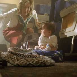 Foto Serpentes a Bordo